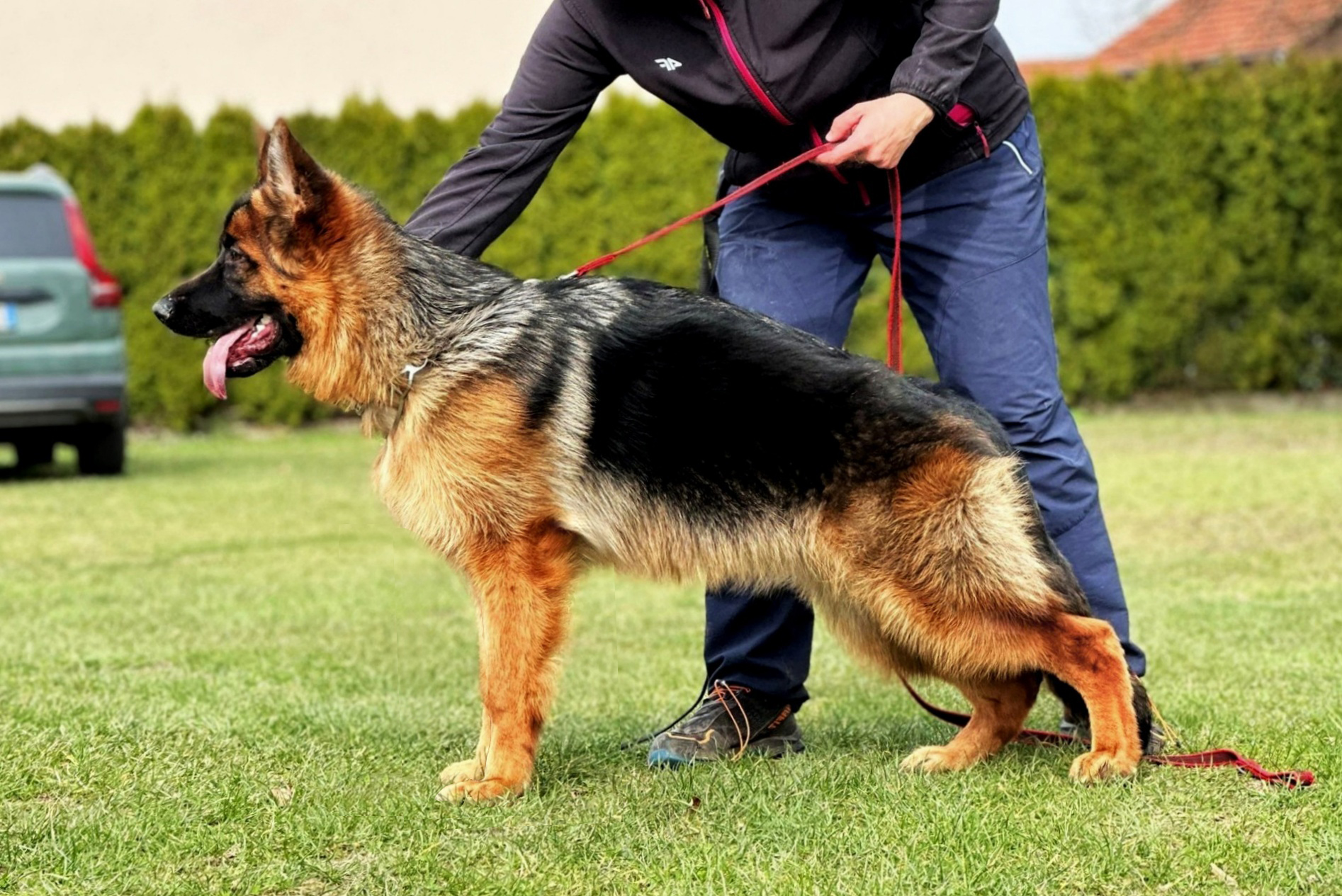 ARSHIA Primo Mio Grande